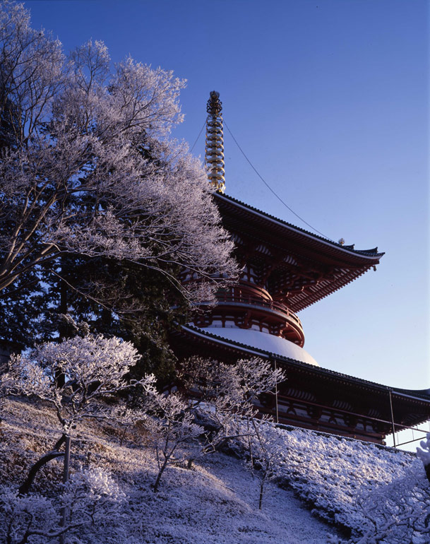 「春雪の平和大塔」