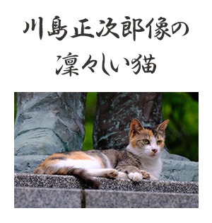 川島正次郎像の凜々しい猫